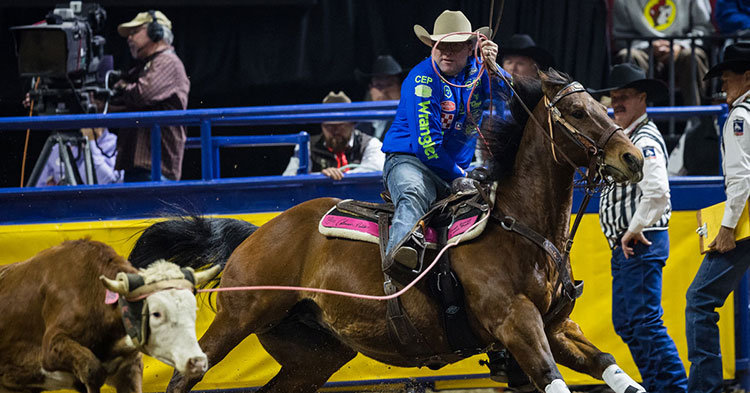 Coleman Proctor team roping on a horse at the National Finals Rodeo (NFR).